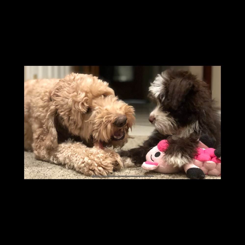 Meet your Posher, Evan m